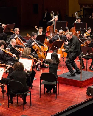 The Orchestra Unplugged Memphis