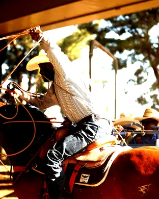 Bill Pickett Rodeo Memphis