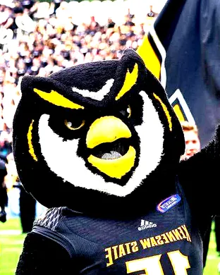 Kennesaw State Owls Football Jonesboro