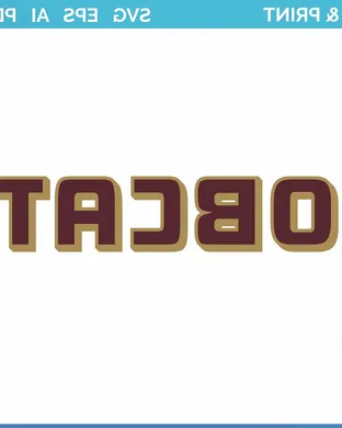 Texas State Bobcats Jonesboro