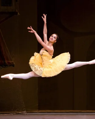 New Ballet Ensemble And School NutRemix Germantown